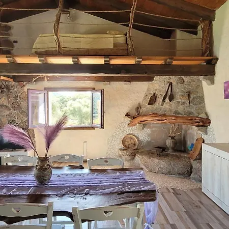 Stazzu Iris * Calangianus