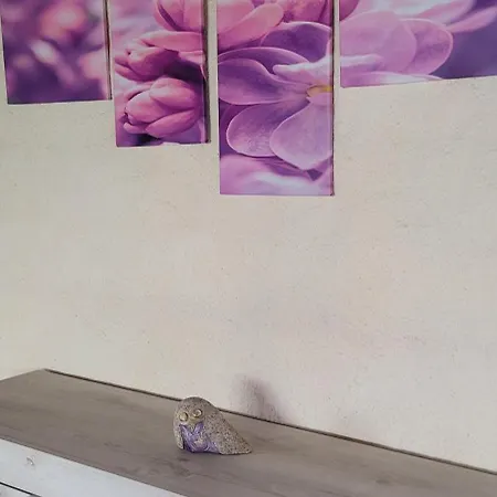 Stazzu Iris Hébergement de vacances *