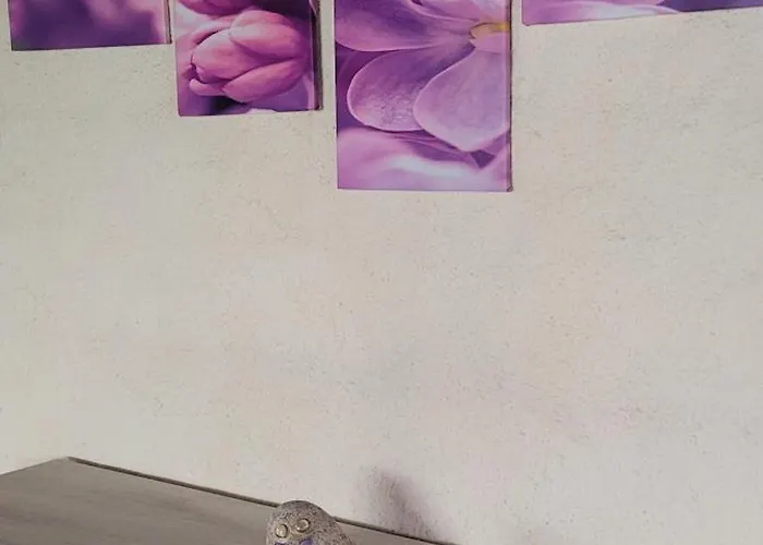 Stazzu Iris Nyaraló *